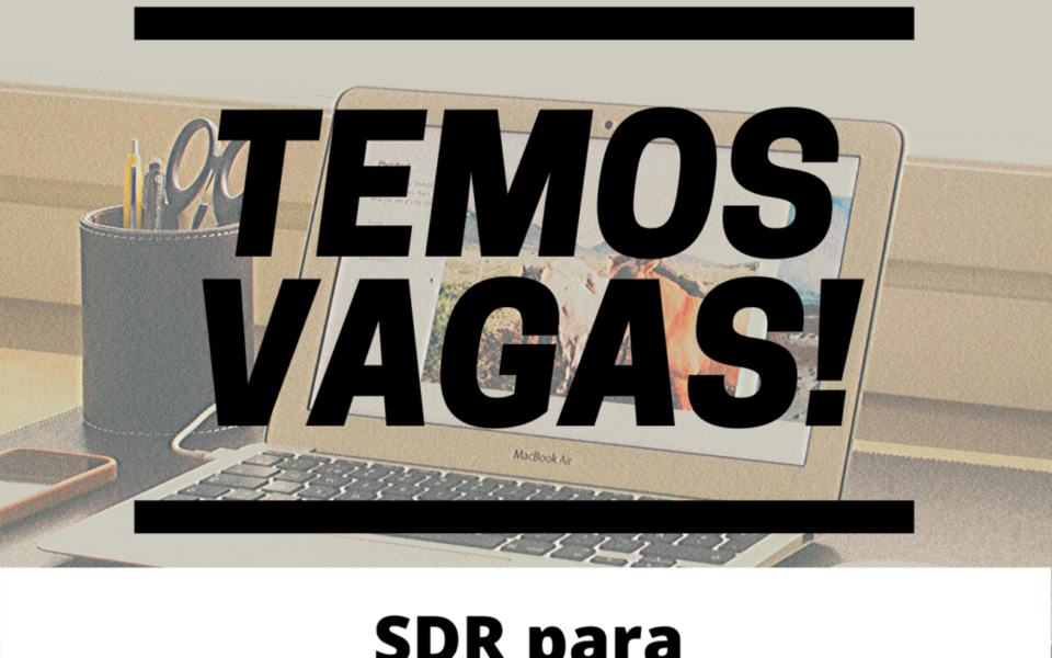 SDR - Sales Development Representative